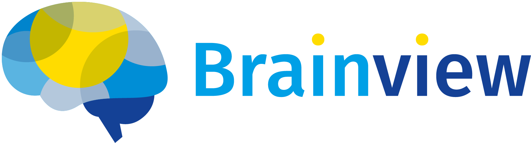 Brainview Logo